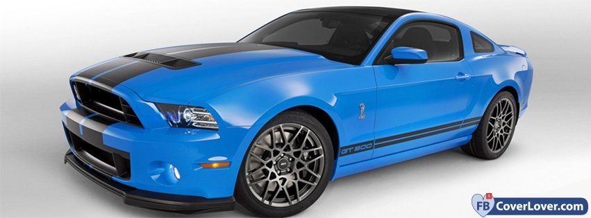 2013 Ford Shelby  