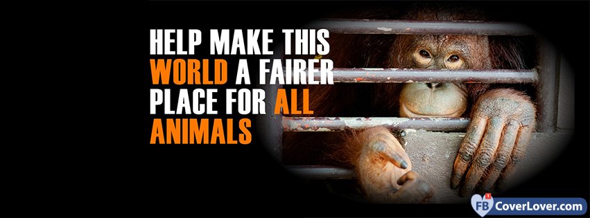 A Fairer Place For Animals