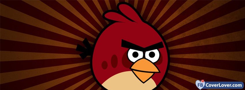 Angry Birds 5