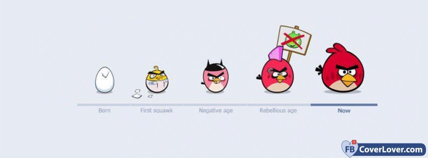 Angry Birds 14