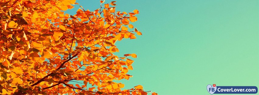 Autumn Colors seasonnal Facebook Cover Maker Fbcoverlover.com