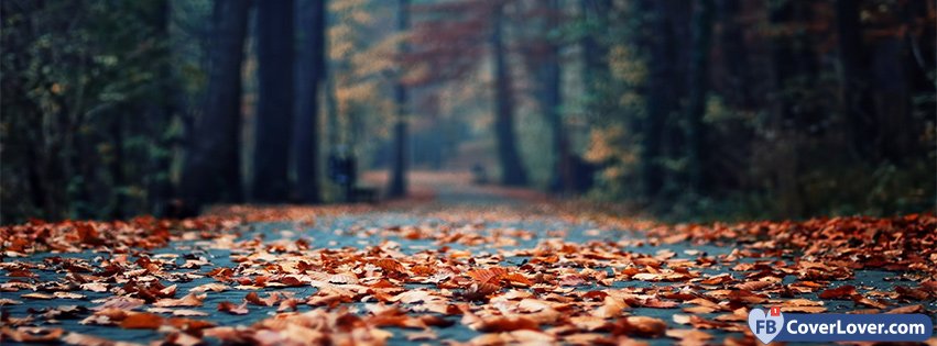 Autumn Forest Leaves