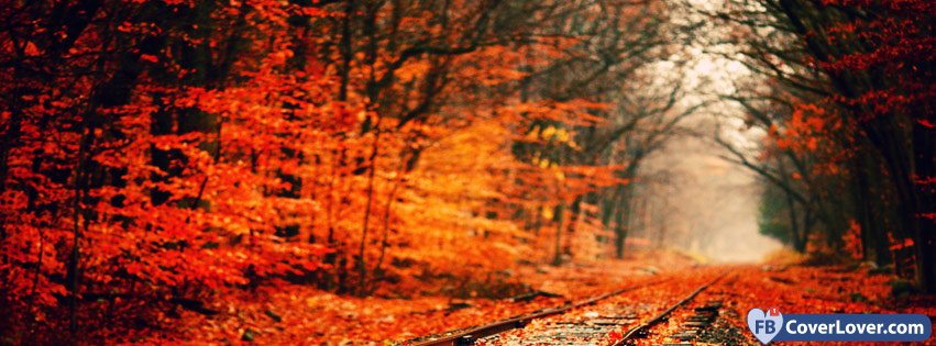 Autumn Forest And Rails