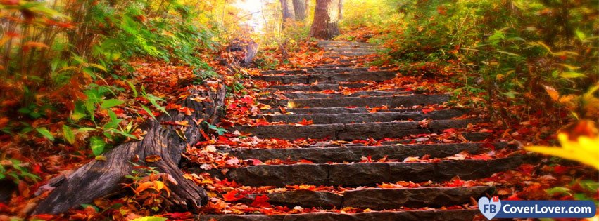 Autumn Forest Stairs