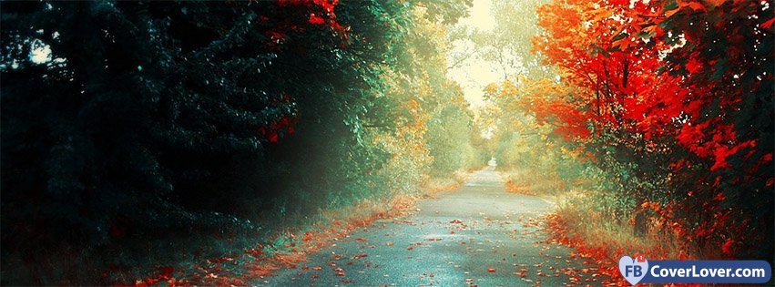 Autumn Forest Path