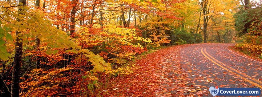 Autumn Road