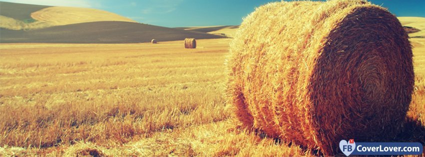Bail Of Hay Landscape