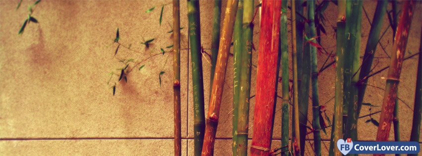 Bamboos