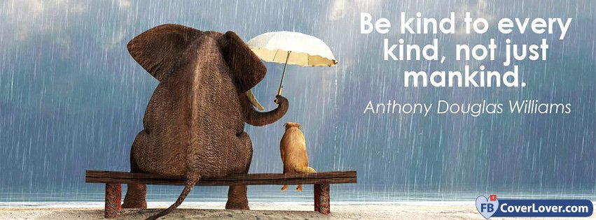 Be Kind To Every Kind