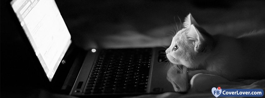 Cat Watching Computer