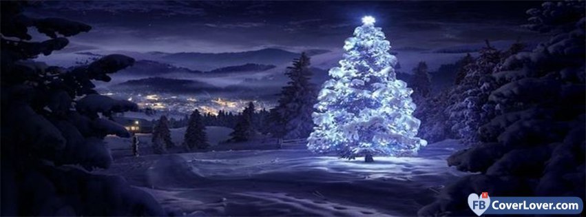 Christmas Tree In Snow 