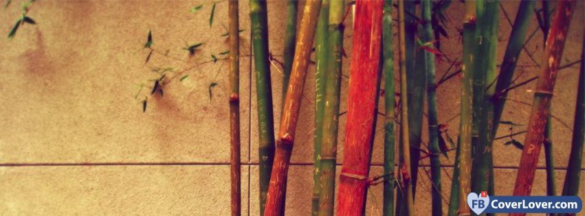Colorful Bamboo 