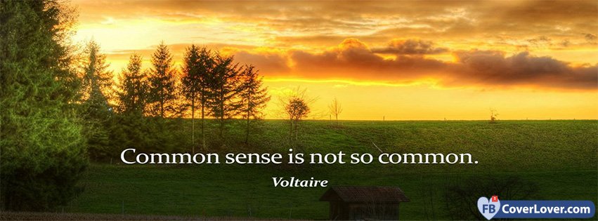 Common Sense Voltaire