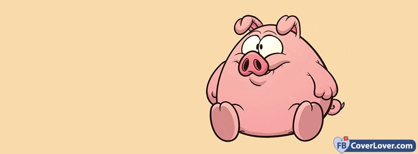 Cute Pig