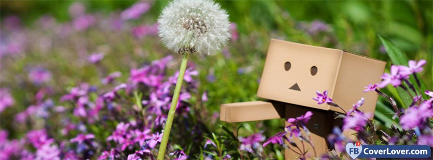 Danbo Danboards With Flower