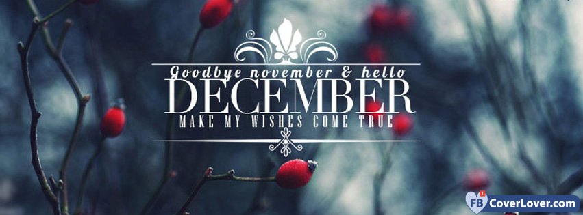 Goodbye November Hello December