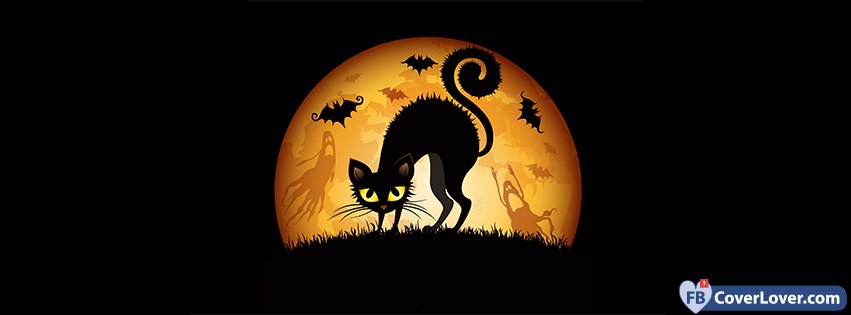 Halloween Cat And Bats