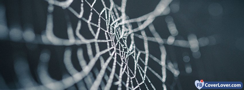 Halloween Spider Web