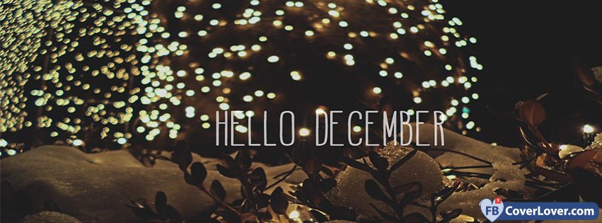 Happy December Lights