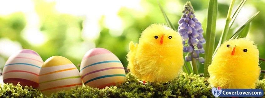 Happy Easter Cute Chickens