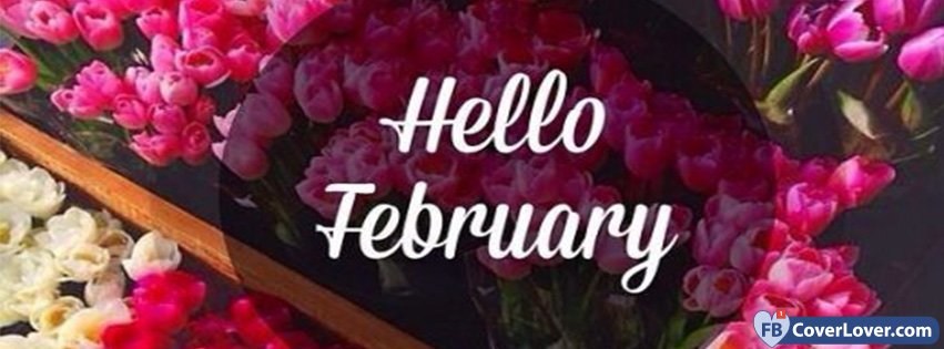 Hello February Flowers February