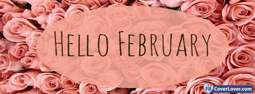 Hello February Roses