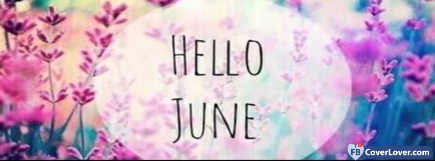 Hello June Flowers