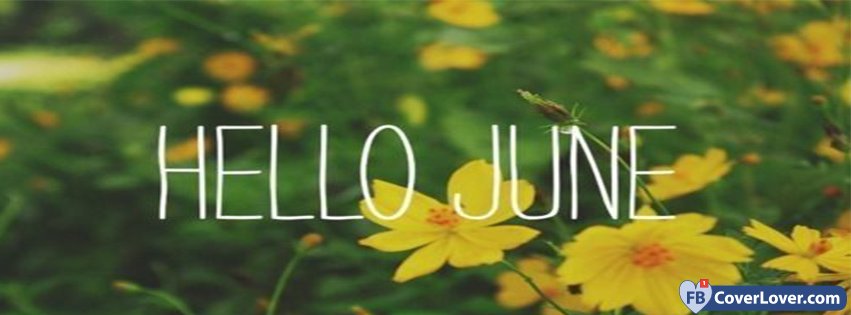 Hello June Daffodils