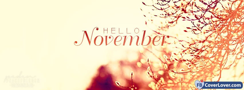 Hello November 2