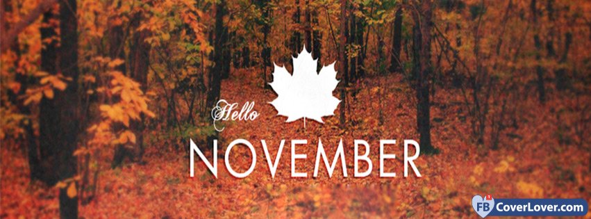 Hello November 3