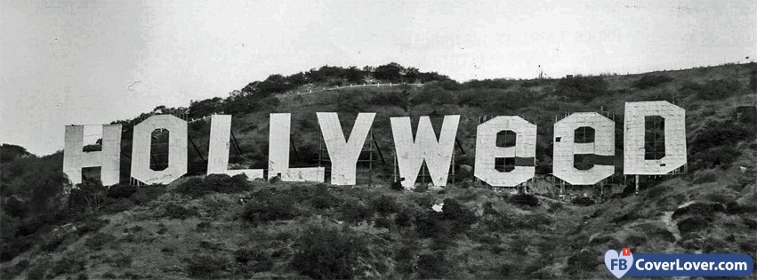 Hollyweed 