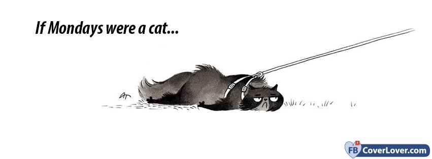 If Mondays Were A Cat