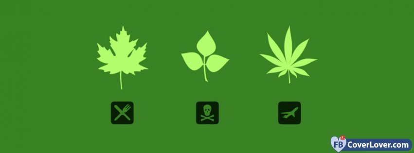 Leaf Types