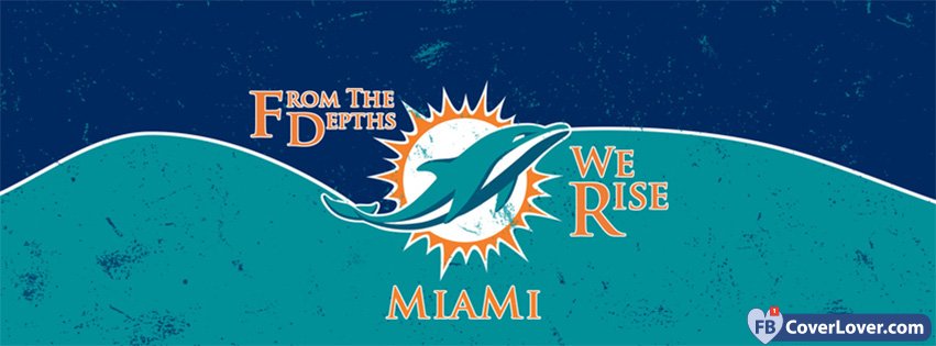 Miami Dolphins 2