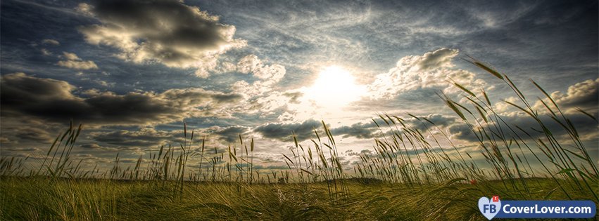 Herbs And Sun