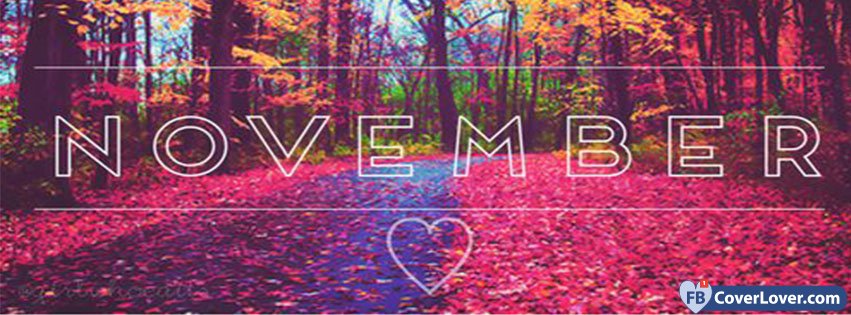 November Love