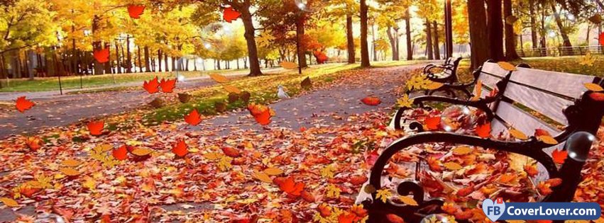 Park Bench Autumn