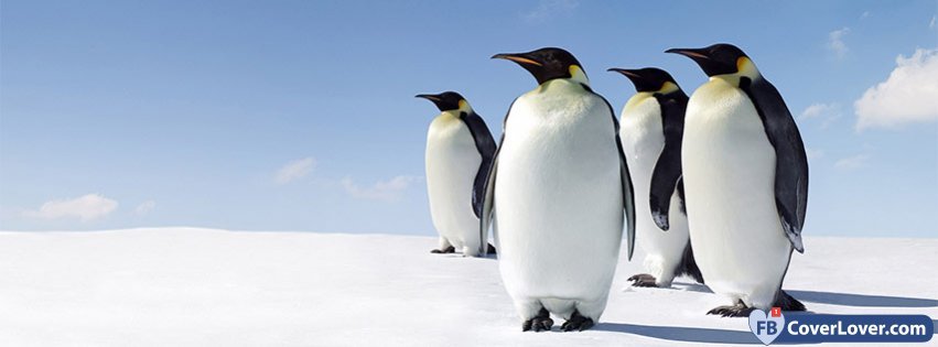 Penguin Awareness Day 2