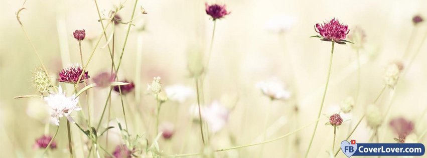 facebook cover images flowers