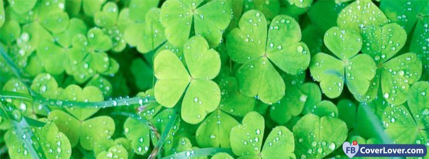 Saint Patrick Four Leaf Clovers 2