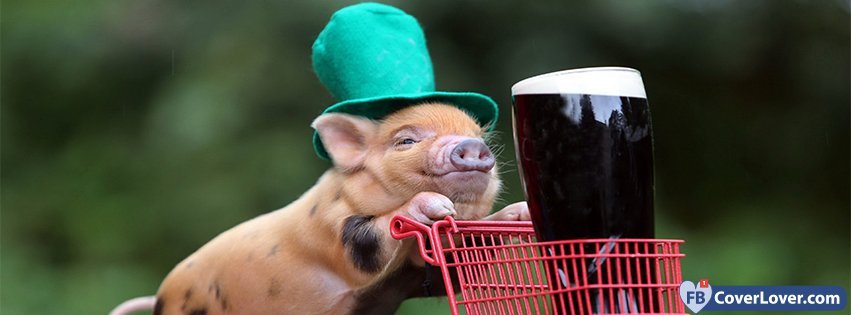 Saint Patrick Guinness Pig 1