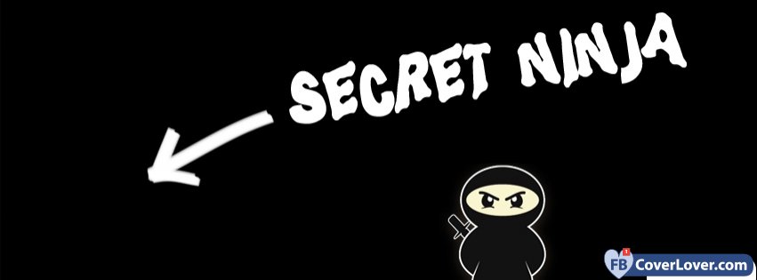 Secret Ninja