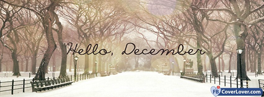 Hello December Snow And Light