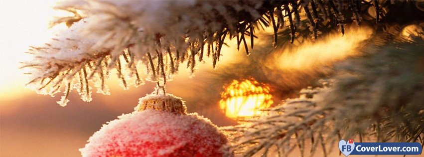 Snowy Christmas Ornaments