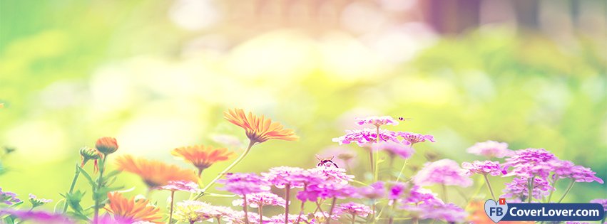 Spring Forest Flowers