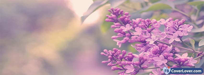 Spring Magic Lilac