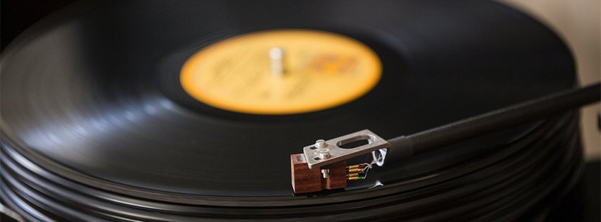 Vinyl In Motion