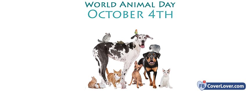 World Animal Day October 4th
