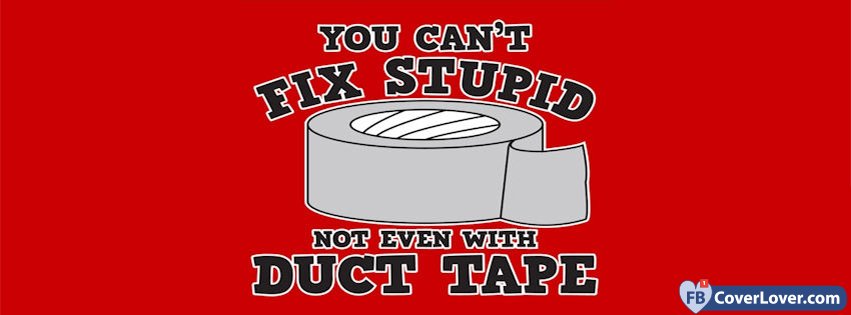 You Cant Fix Stupid