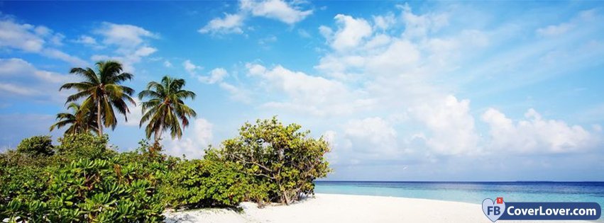 Beach Scene